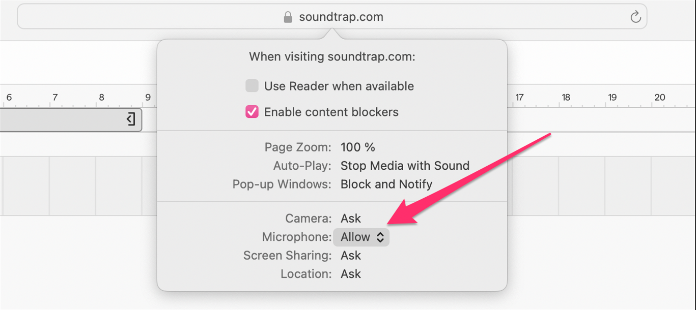 Safari allow mic.png